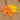 Handmade Autumn Leaves Greeting Card - Quilling Card