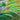 Framed Art - Size Artist Series - The Path through the Irises, Monet - Quilling Card - Artist Series