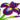 Quilled Iris Flower Greeting Card - Quilling Card - Greeting Card