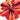 Quilled Hibiscus Greeting Card - Quilling Card - Greeting Card
