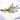 Quilled Lavender Bunch Greeting Card - Quilling Card - Greeting Card