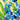 Framed Art - Size Artist Series - Irises, Van Gogh - Quilling Card - Artist Series