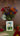 Quilled Artist Series – Woman with a Parasol, Monet - Quilling Card - Greeting Card