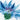 Quilled Blue Cornflower & Poppies Greeting Card - Quilling Card - Greeting Card