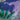 Quilled Lavender Fields Greeting Card - Quilling Card - Greeting Card