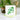 Quilled Shamrocks Greeting Card - Quilling Card - Greeting Card