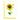 Quilled Sunflower Gift Enclosure Mini Card