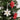 Quilled Poinsettia Ornaments Box Set - Quilling Card - Ornament