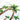 Quilled Palm Trees Greeting Card - Quilling Card - Greeting Card