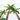 Quilled Palm Trees Greeting Card - Quilling Card - Greeting Card