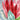 Quilled King Protea Greeting Card - Quilling Card - Greeting Card