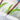 Quilled 4th of July Pinwheels Greeting Card - Quilling Card - Greeting Card