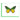 Butterflies: Collection 2 Note Card Box Set - Quilling Card - Note Card Box Set