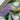 Spring Bouquet Quilling Art Bookmark | Renoir - Quilling Card - Bookmark