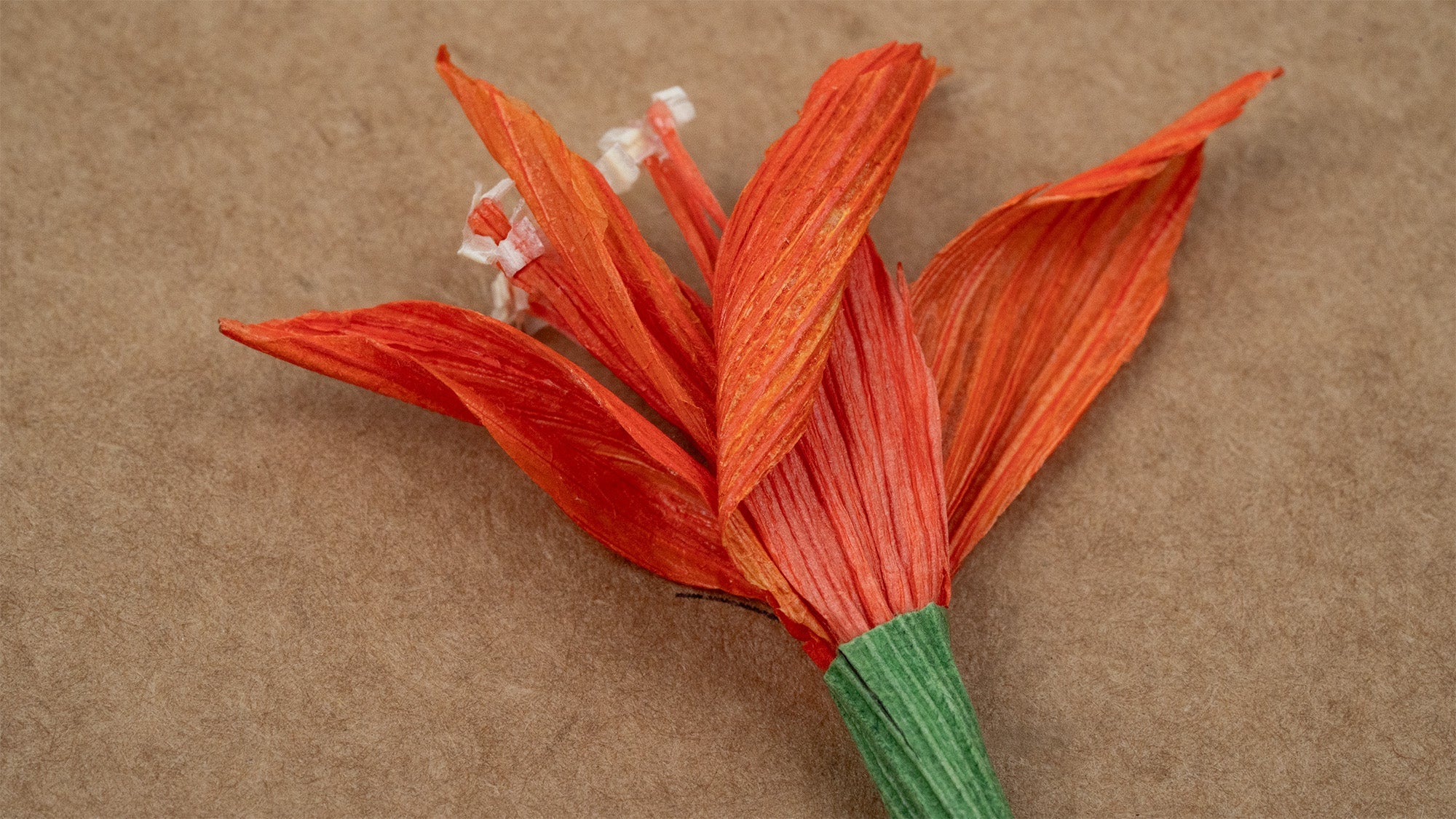 origami tiger lily Congrats Orange Tiger Lily | Flower