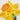 Quilled Daffodils Greeting Card - Quilling Card - Greeting Card