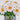 Quilled White Daisies in Jar Greeting Card - Quilling Card - Greeting Card