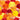 Quilled Autumn Tree Greeting Card - Quilling Card - Greeting Card