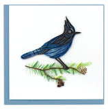 A blue feathered bird with a black head sitting on a pine branch.