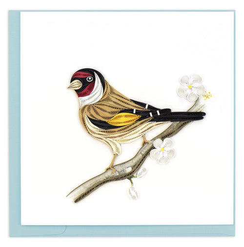 Blank Quilled Card of a brown, black, yellow and red bird perched on a branch with white flowers.