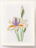 Quilled Water Iris Gift Enclosure Mini Card