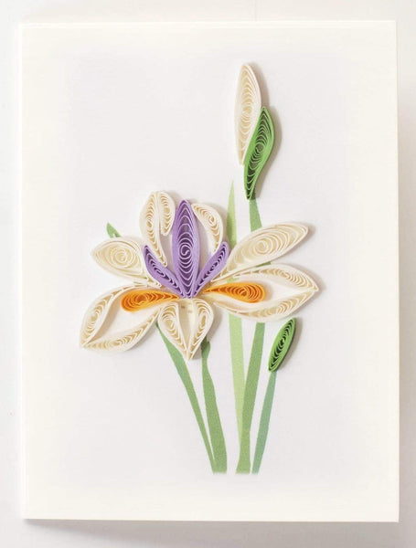 Handcrafted Water Iris Gift Enclosure Mini Card | Quilling Card¨