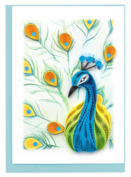Peacock, feathers, Birds