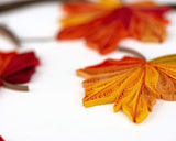Detail shot of Quilled Autumn Leaves Card