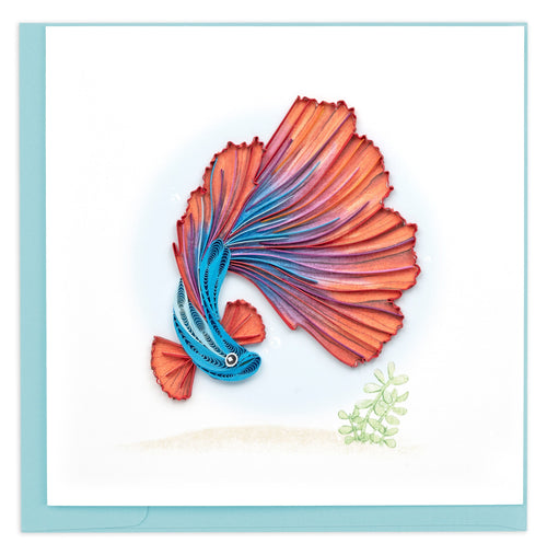 Blank greeting card of a blue and red betta fish