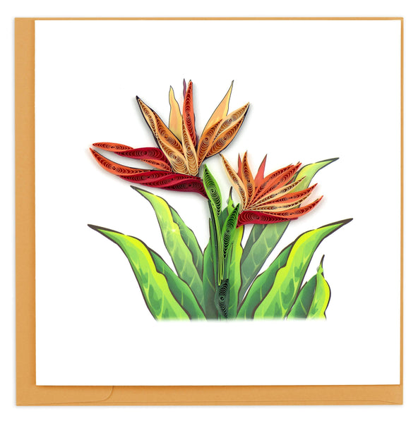 Blank greeting card featuring a quilled design of Bird of Paradise flowers