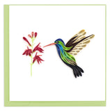 Quilled blank greeting card of a Brand-billed Hummingbird drinking nectar from a fuchsia 