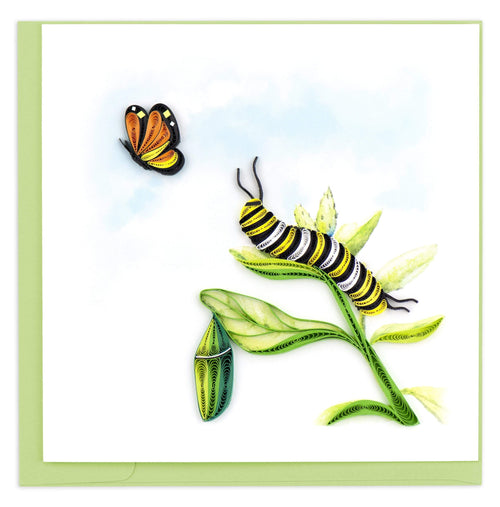Blank Quilled Card of a Caterpillar, cocoon and butterfly. 