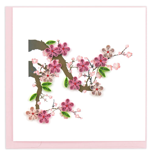 BL990 | Cherry Blossom