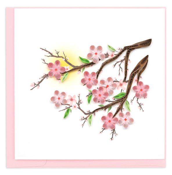 cherry blossom, pink petals, tree