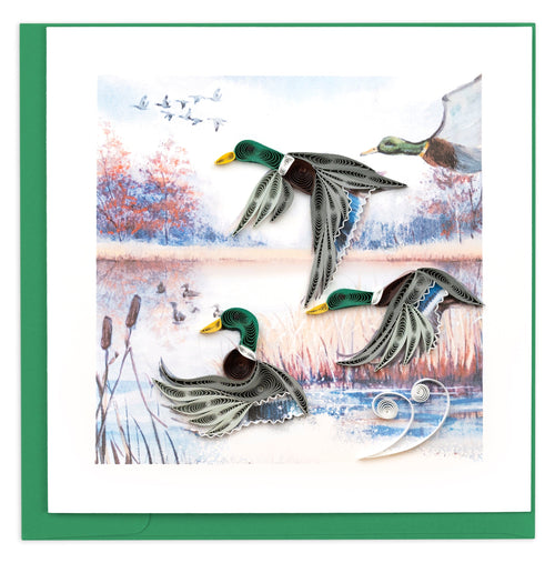 ducks flying, green & brown feathers, migration, nature