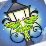 Quilled Luna Moth Greeting Card