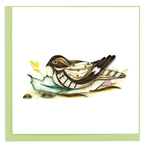 Blank Quilled Card of a Nighthawk bird
