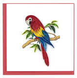 Blank greeting card of a quilled red, yellow and blue feathered parrot