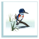 Blank Quilled card of a blue, orange and white Kingfisher perched on a branch.