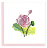 BL984 | Pink Lotus