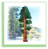 Blank greeting card of a quilled redwood tree centered on a printed nature background 