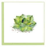 Blank greeting card of a quilled succulent plant in hues of green
