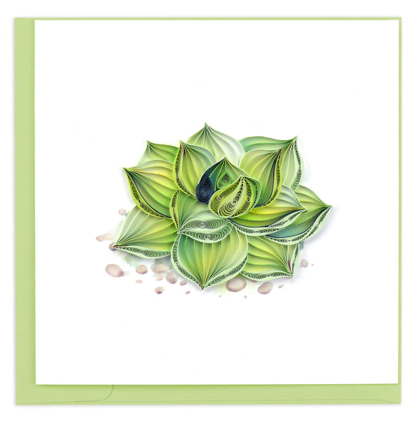Blank greeting card of a quilled succulent plant in hues of green