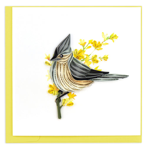 Blank Quilled Card of Tufted Titmouse on a flowery yellow branch.