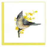 Blank Quilled Card of Tufted Titmouse on a flowery yellow branch.