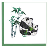 Two black and white pandas next to green bamboo shoots.