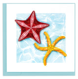 starfish, ocean water, sea creature
