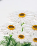 Detail shot of Quilled White Daisies Card
