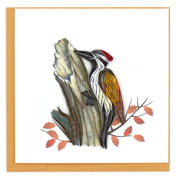 BL991 | Woodpecker