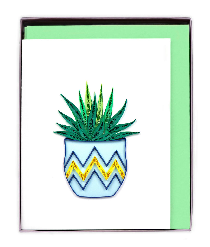 Quilled Succulent Note Card Box Set Quilling Card